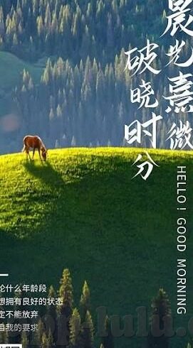 91 麻豆视频-91 麻豆视频，重新审视数字时代下的内容消费