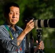 精品免费国产一区二区-精品国产一区二区，探索国产影视的独特魅力与文化价值