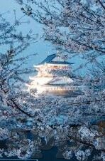 麻豆传媒白晶晶-一则关于麻豆传媒白晶晶的多维度观察
