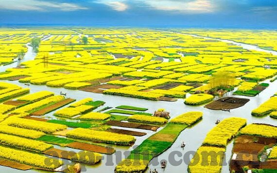 麻豆视频最新-麻豆视频最新，探索数字时代下的内容创新