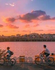 糖心直播app破解版下-直面诱惑与自我约束，网络直播平台的理性审视