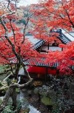 最新麻豆传媒国产-麻豆传媒，最新国产影像文化的多维探索